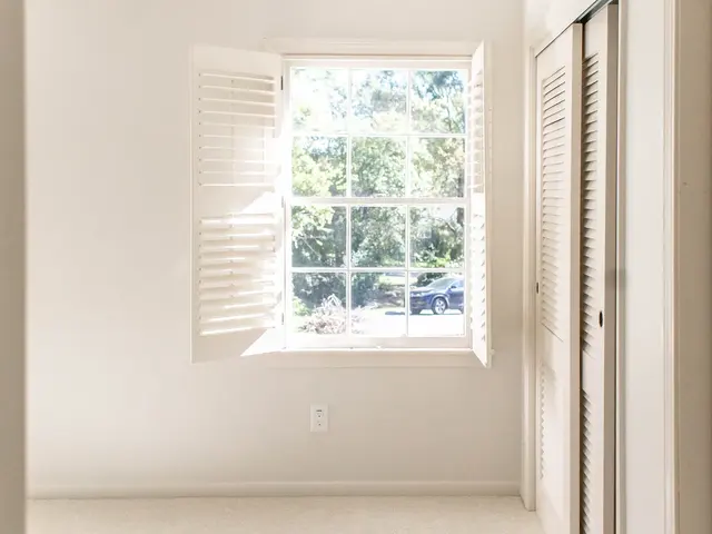 Soft carpet flooring in a finished room