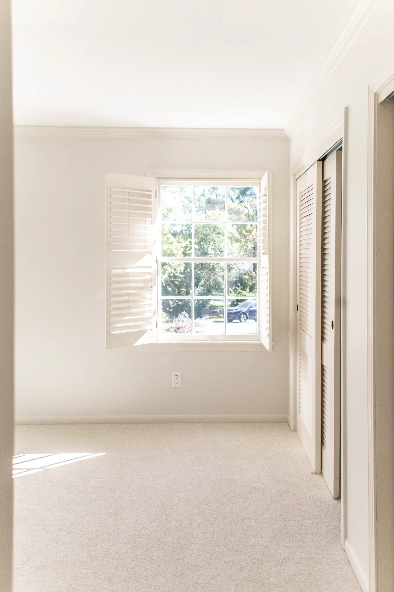 Soft carpet flooring in a finished room